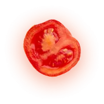 tomato tomato